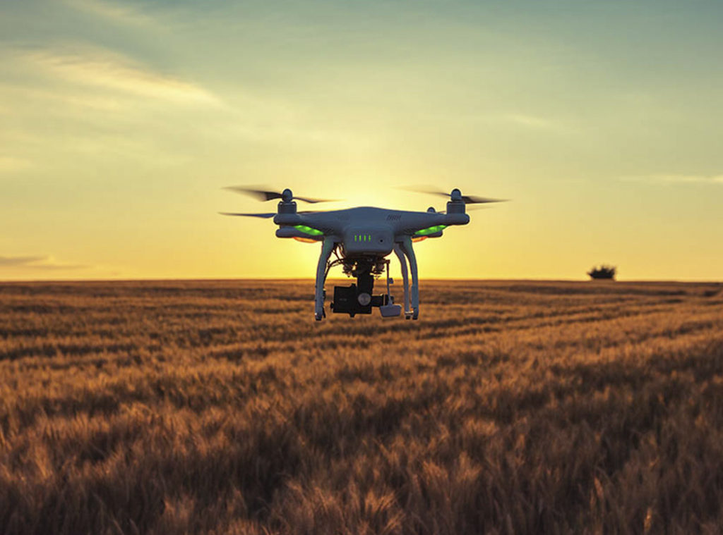 digital-farming-inwineopinion.com