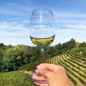 aperiwine-with-timorasso-vino-bianco-bicchiere-in-wine-opinion